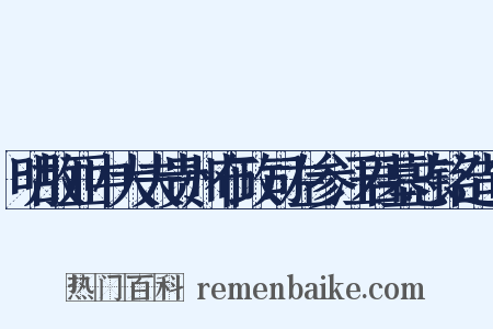 明故亚中大夫贵州布政司左参汪君墓志铭造句是什么意思的图片